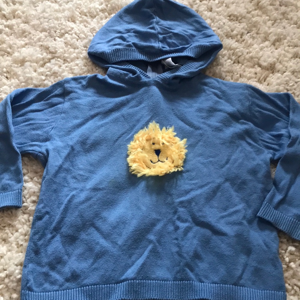 💙3/$20 New potatoes boutique brand lion hoodie‎